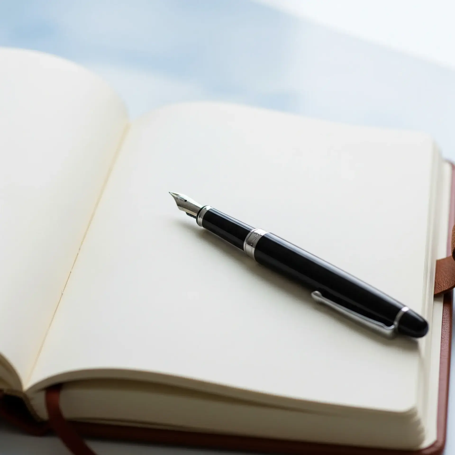 Pen